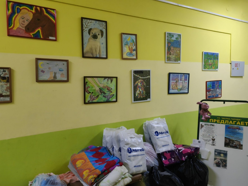 Помощь для приюта: собранные тёплые вещи